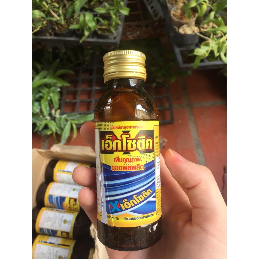 Kích rễ Chai không san chiết