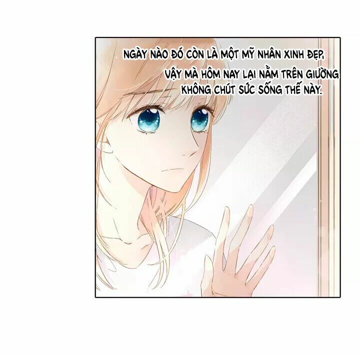 Tình yêu là màu hoa anh thảo chapter 23.2 13