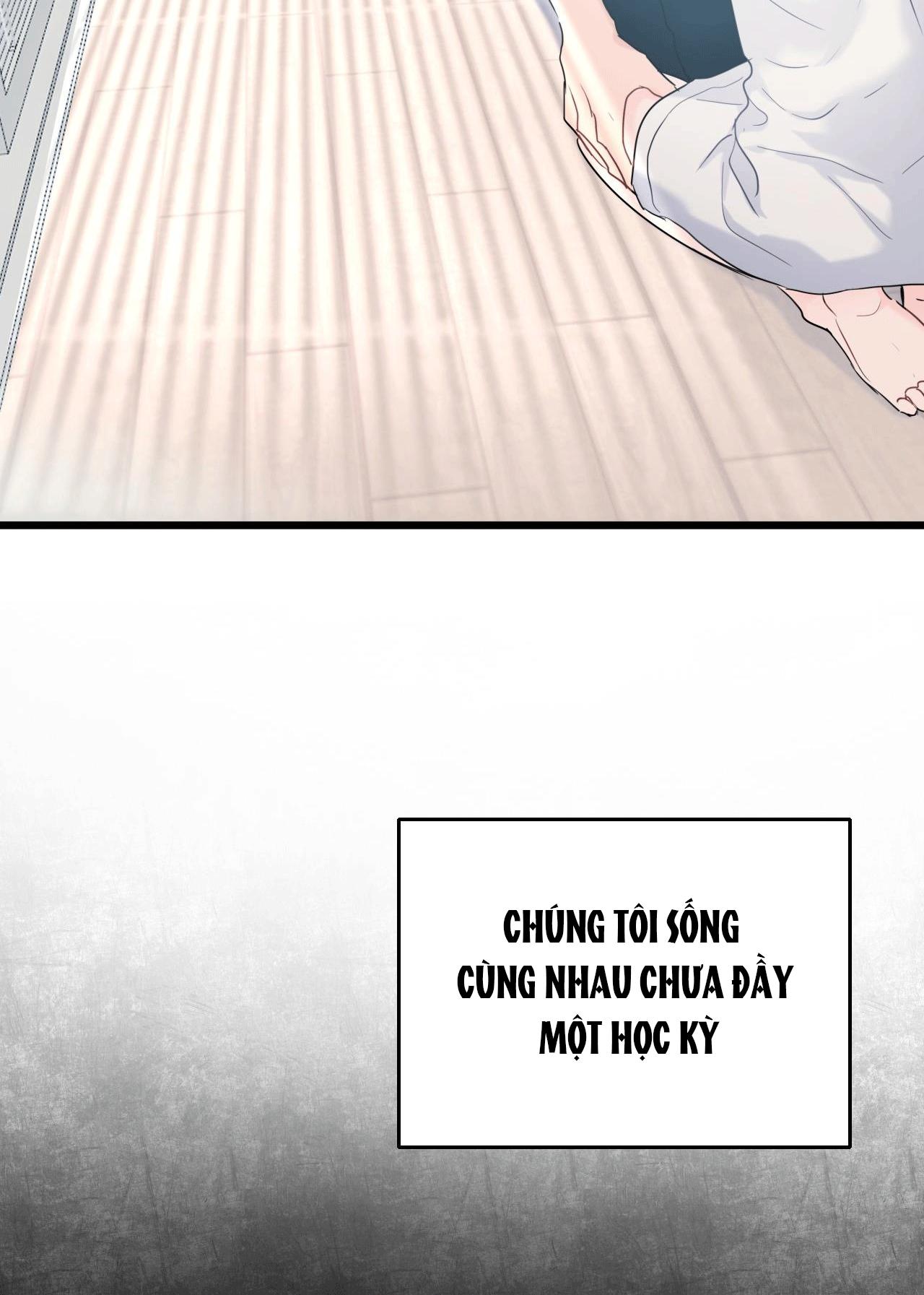 tình yêu bình dị nhất chapter 3 55