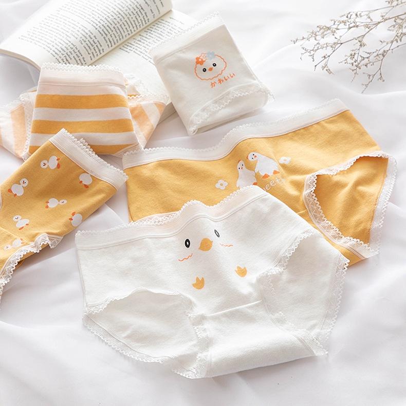Quần Lót Nữ Cotton Kháng Khuẩn Hình Ngỗng Con Viền Ren Ngang Eo . Hàng Loại Đẹp.