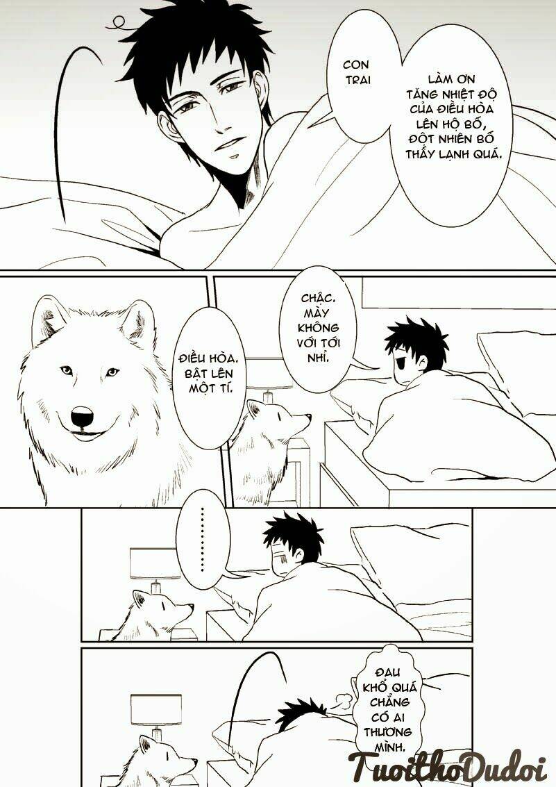 sự mê hoặc của sói chapter 16 3