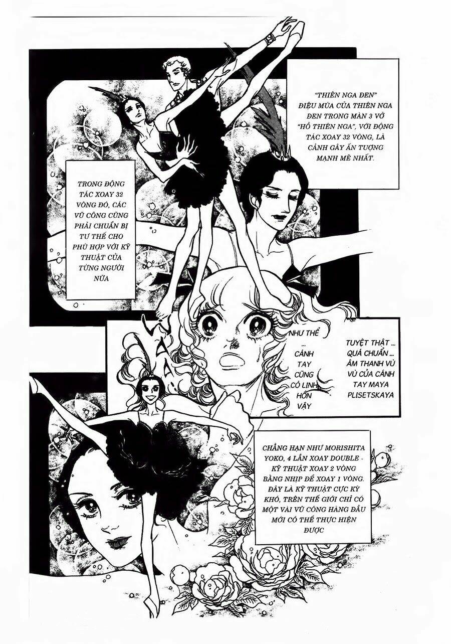 swan - vũ khúc thiên nga chapter 27 19