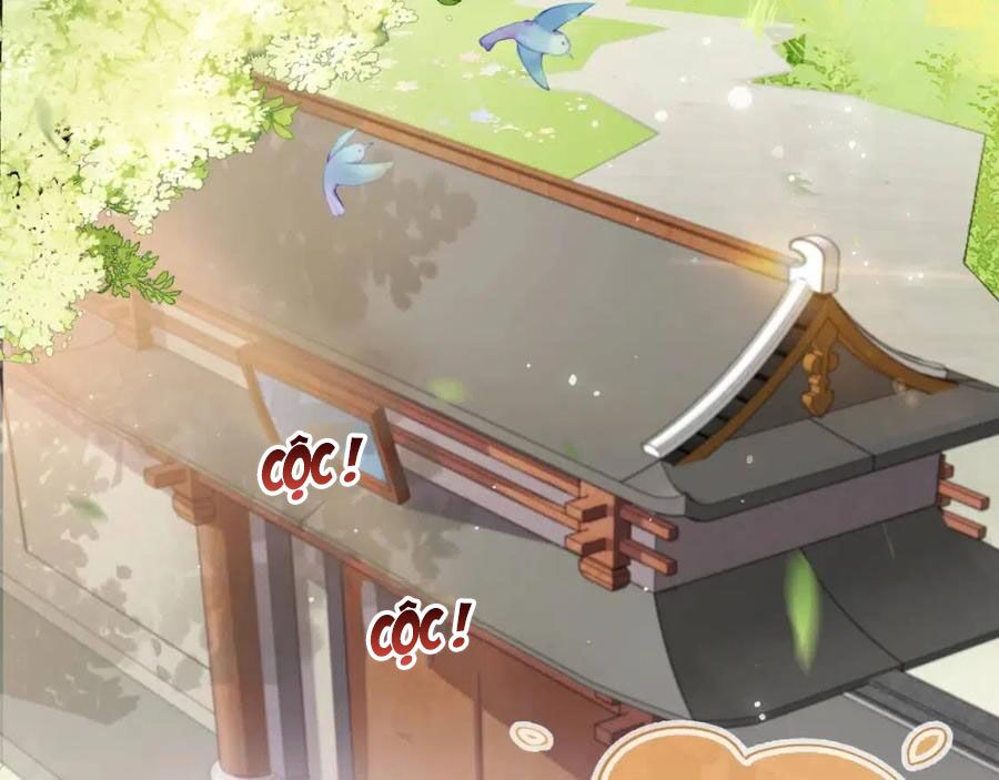 nhặt được bảo bối manh manh chapter 5 2