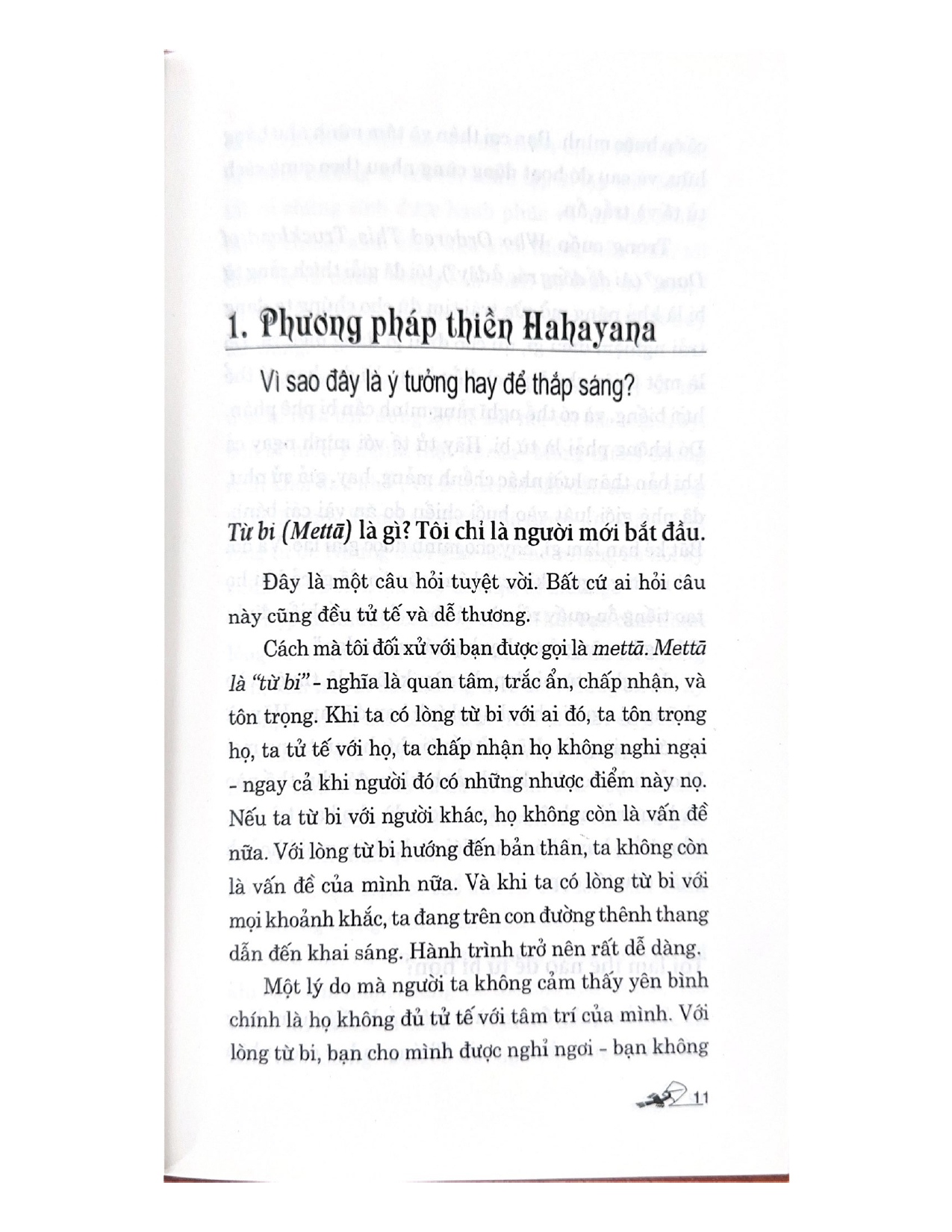 Sự Tỉnh Thức Của Loài Gấu