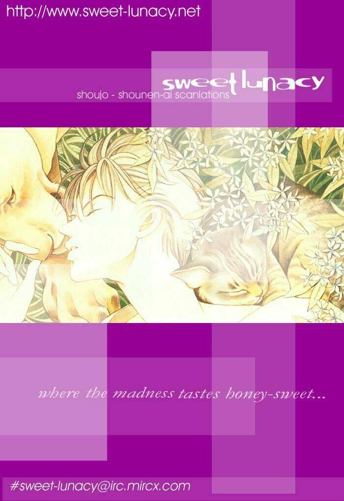 wild cats chapter 1 1