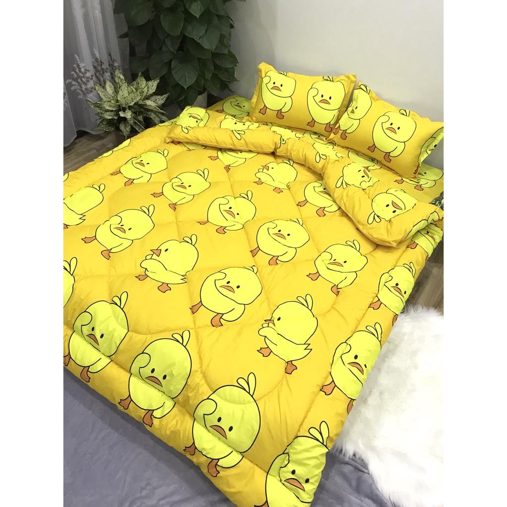 Set phao 5 món siêu rẻ m6/2m