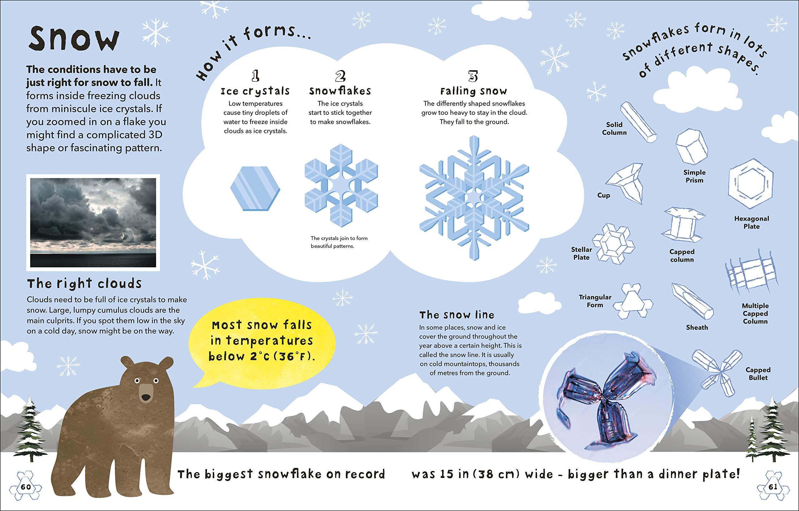 What's The Weather?: Clouds, Climate, And Global Warming