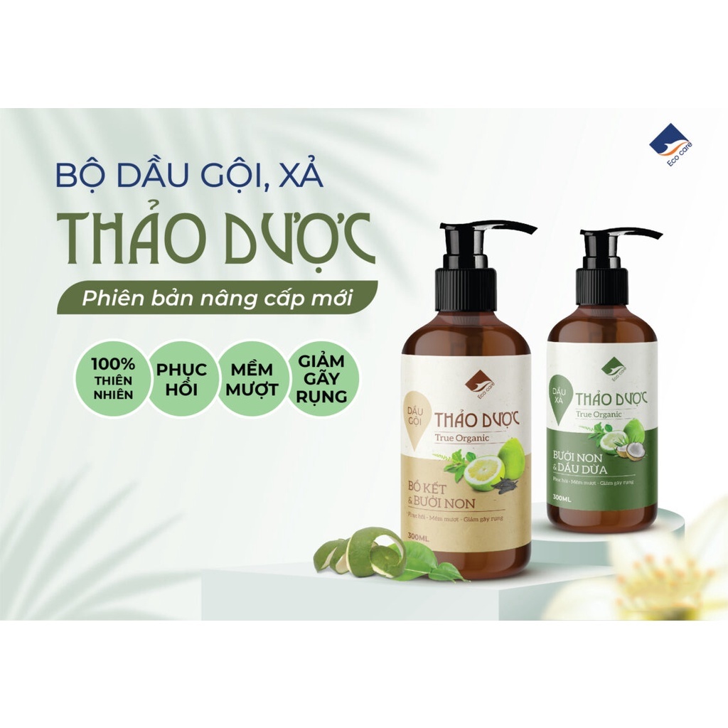 Dầu gội thảo dược ECOCARE 300ml đạt chuẩn CGMP, dầu gội xả thảo mộc giúp sạch gàu, giảm rụng tóc