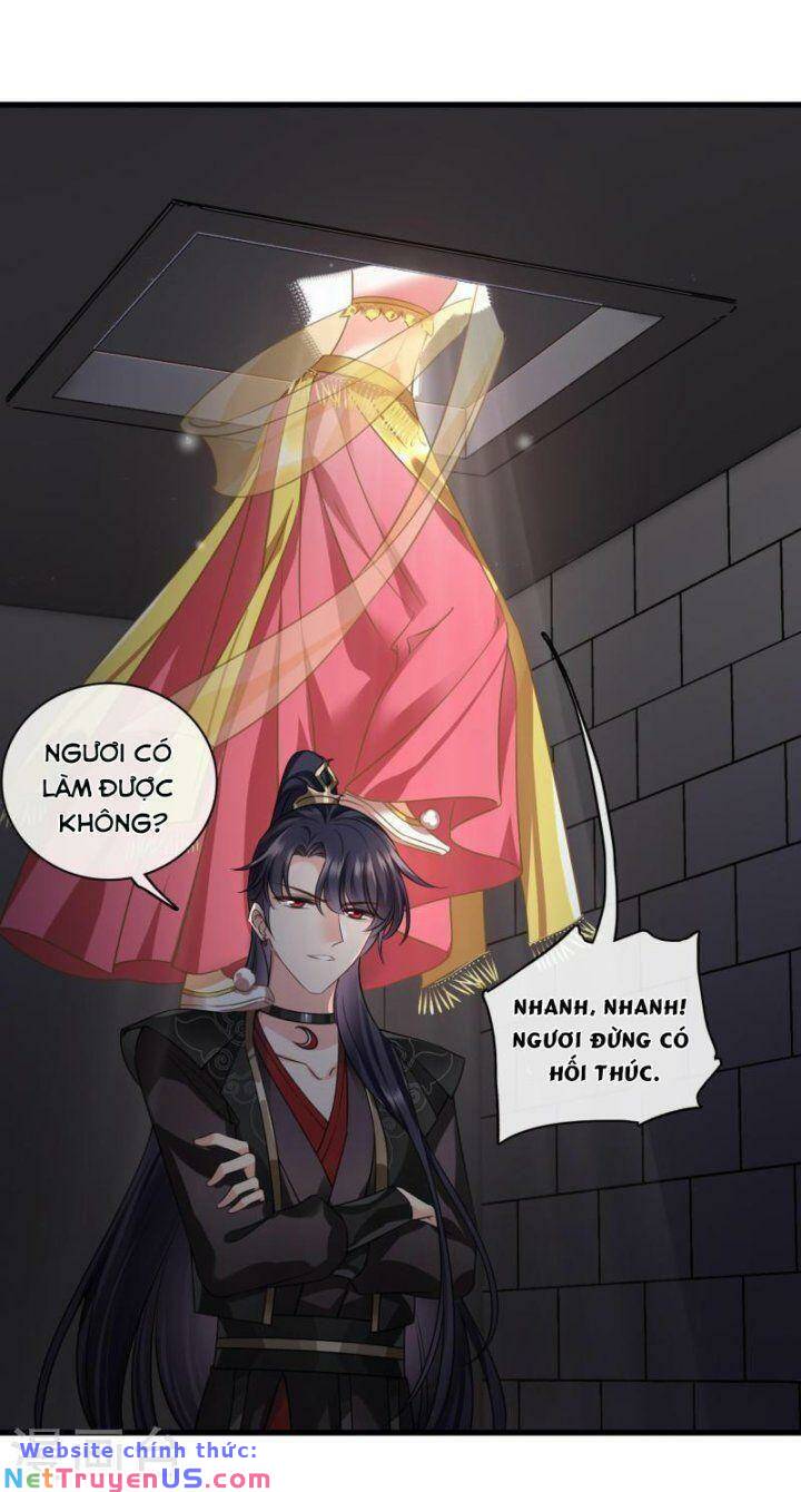 nụ cười của nàng liền ngọt đảo ta tám viên nha chapter 55 29