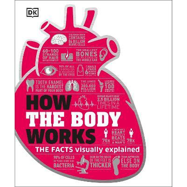 How The Body Works : The Facts Simply Explained