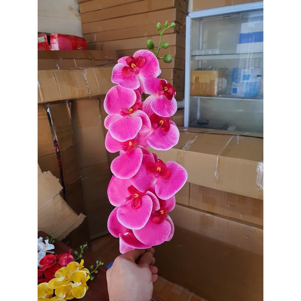 Cành lan hồ điệp giả 9 bông chất cao su non, hàng đẹp.