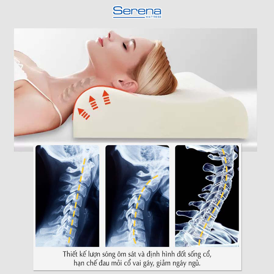 Ruột Gối Cao Su Non Người Lớn SERENA Cao Cấp Lõi Gối Lượn Sóng Nằm Ngủ Chống Đau Cổ Vai Gáy 40x60
