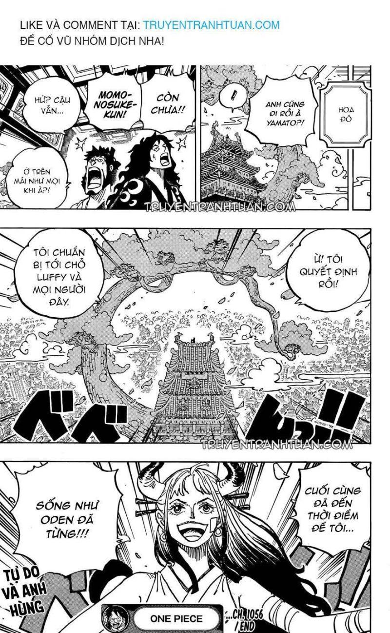 đảo hải tặc - one piece chapter 1056 18