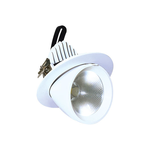 Đèn mắt ếch LED 8090 12W 30W 50W