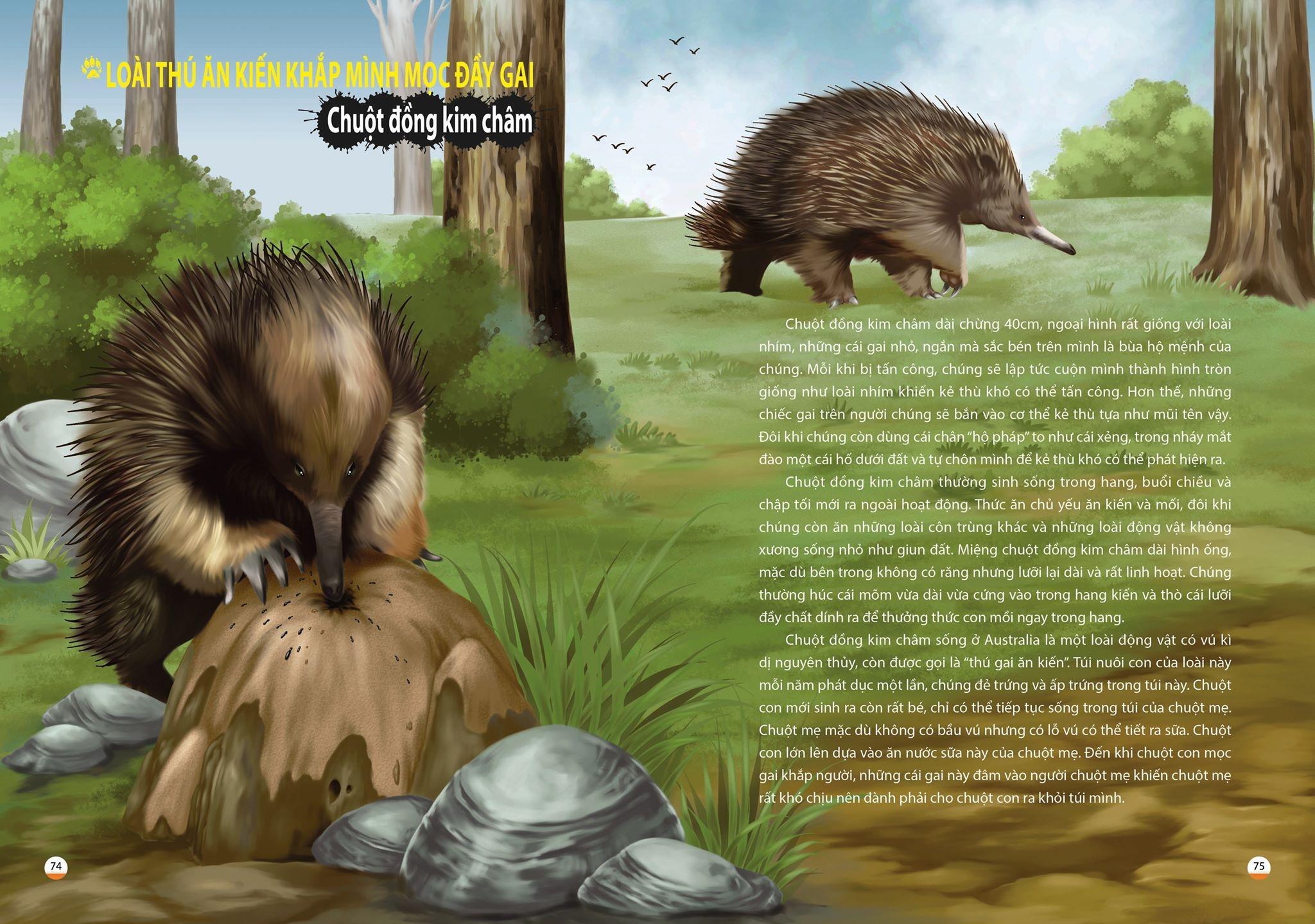 Khám Phá Thế Giới Động Vật Kì Thú: Thế Giới Của Các Loài Vật Kì Quái