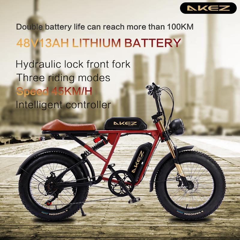 Bike điện 20 inch điện Color: Black dual battery