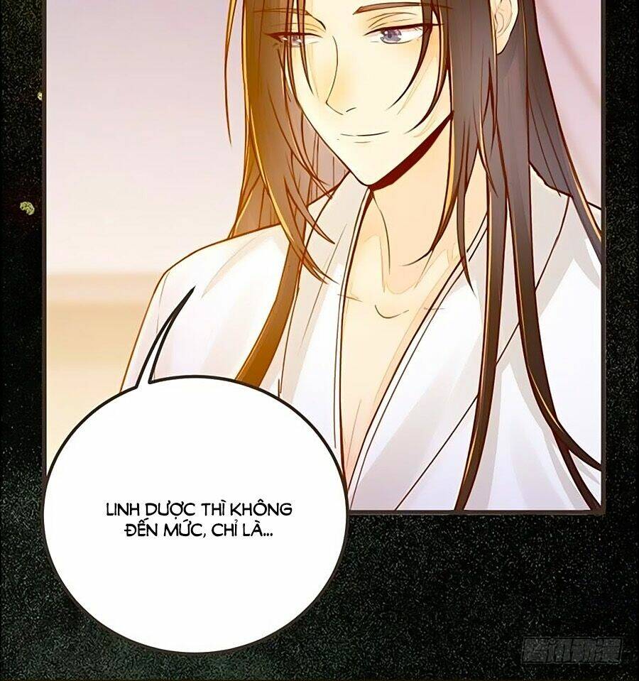 thần y khí nữ: ngự thú cuồng phi của quỷ đế chapter 45 8