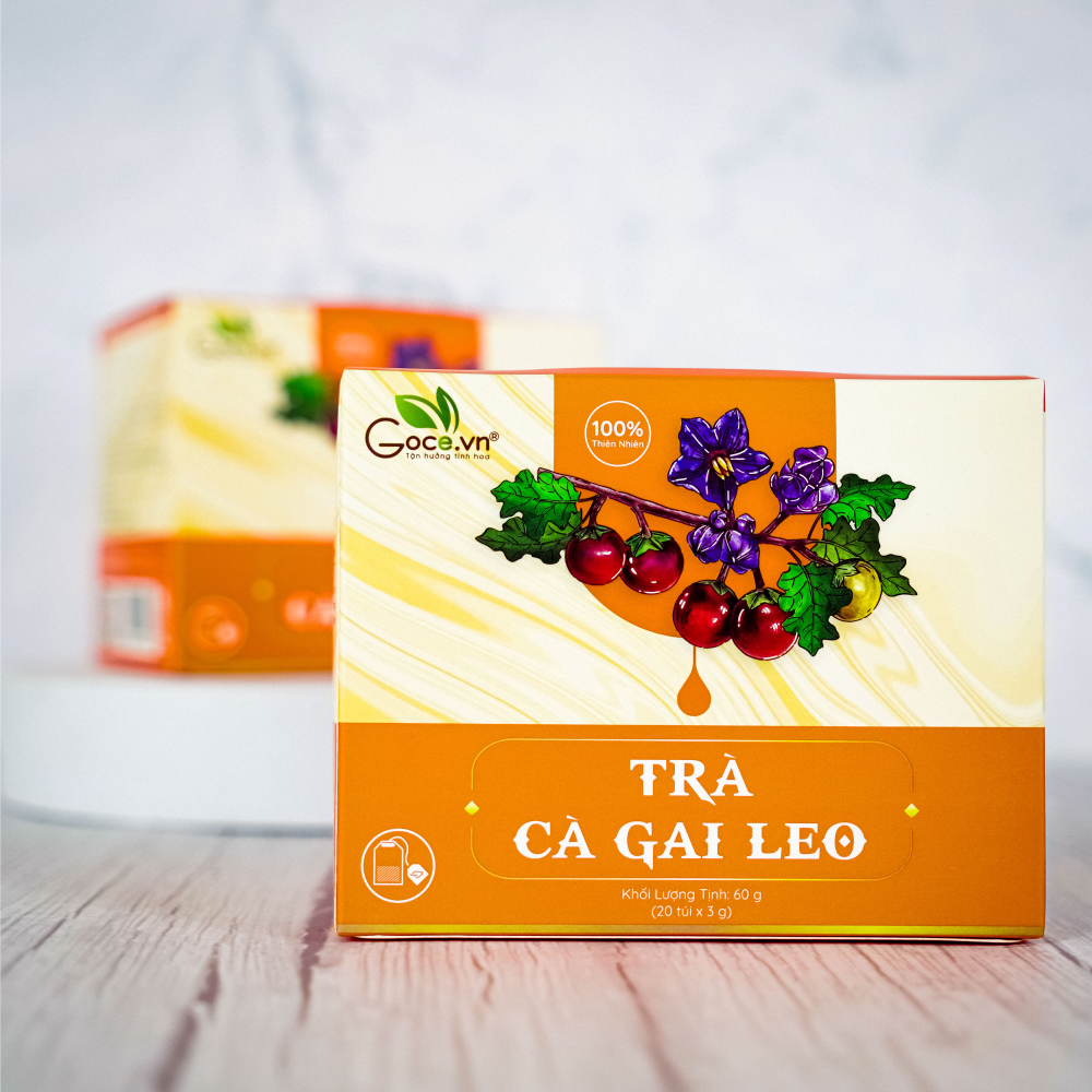 Trà cà gai leo túi lọc Goce - Tốt cho gan và xương khớp
