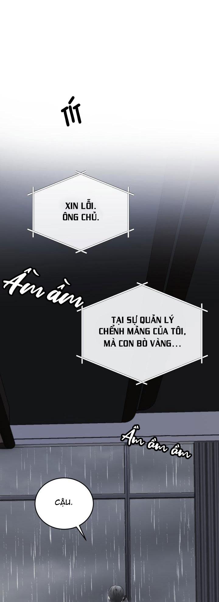 dưỡng thú cưng chapter 39 29