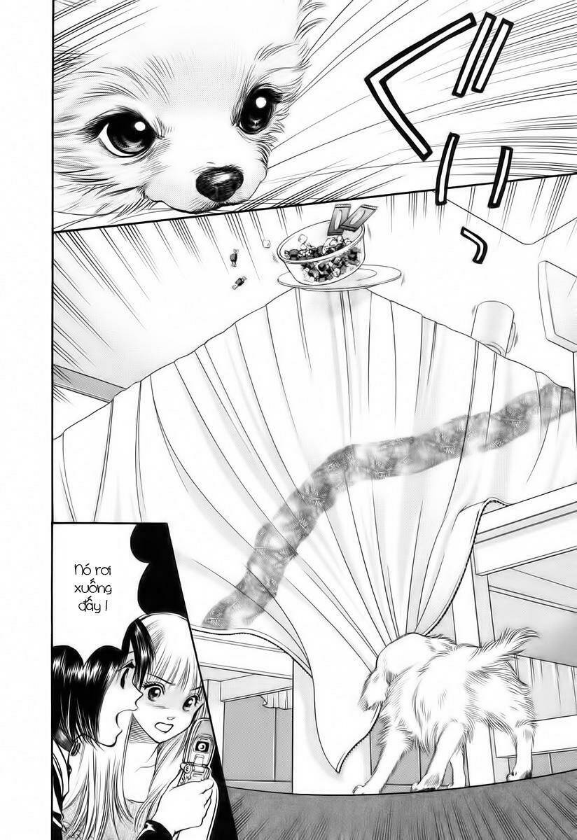 cô nàng yêu chó chapter 39 5