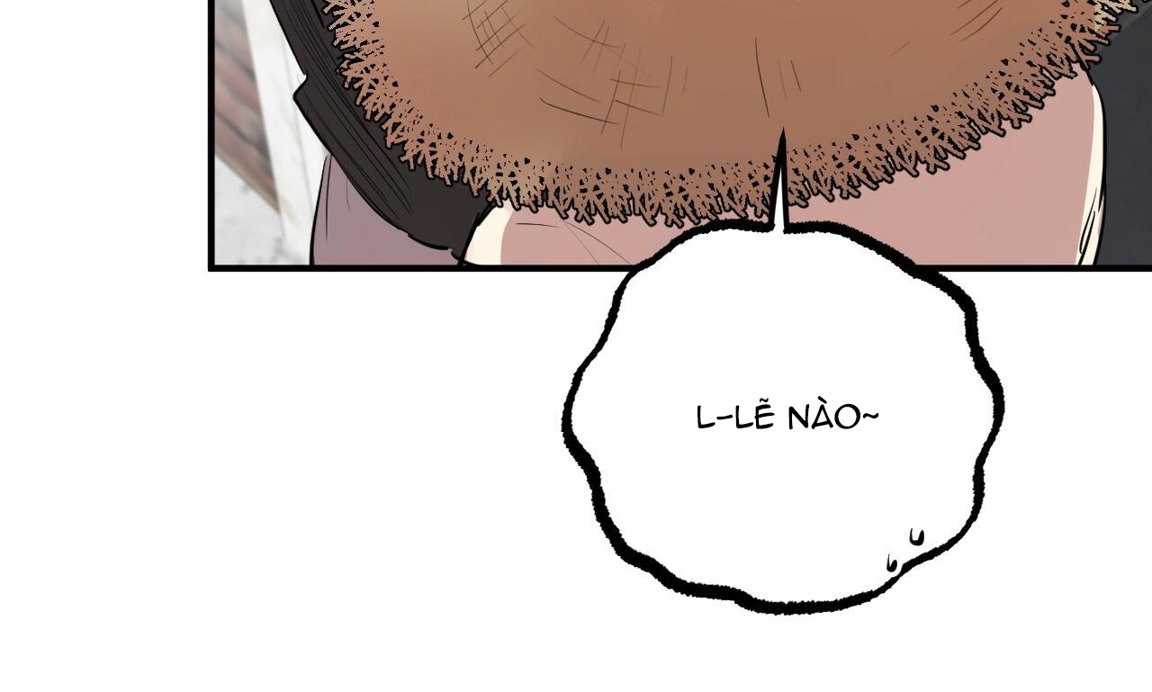 đàn thỏ của habibi chapter 30 230