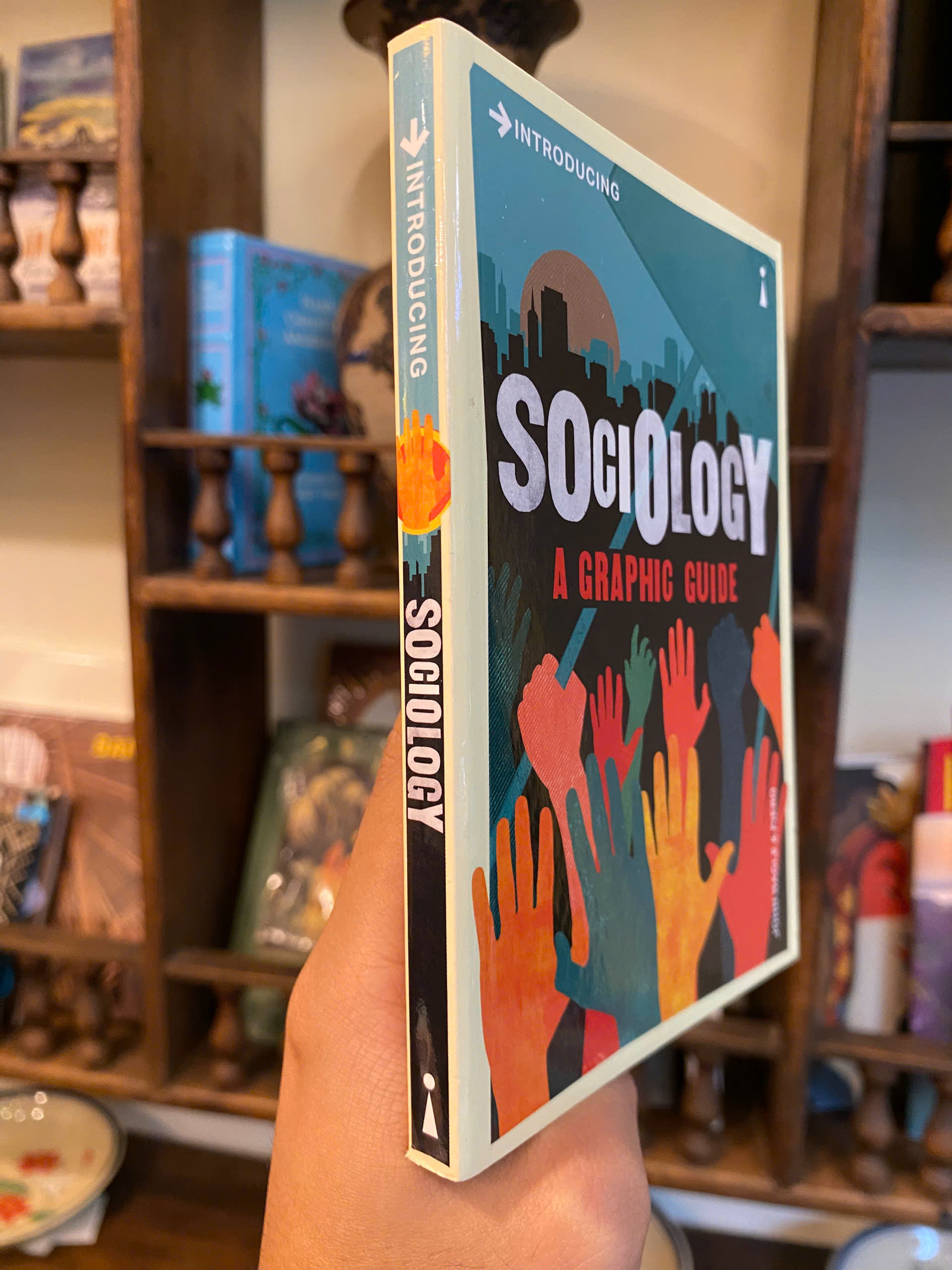 Sách - Introducing Sociology: A Graphic Guide (Graphic Guides) by John Nagle - Sociology/Nonfiction