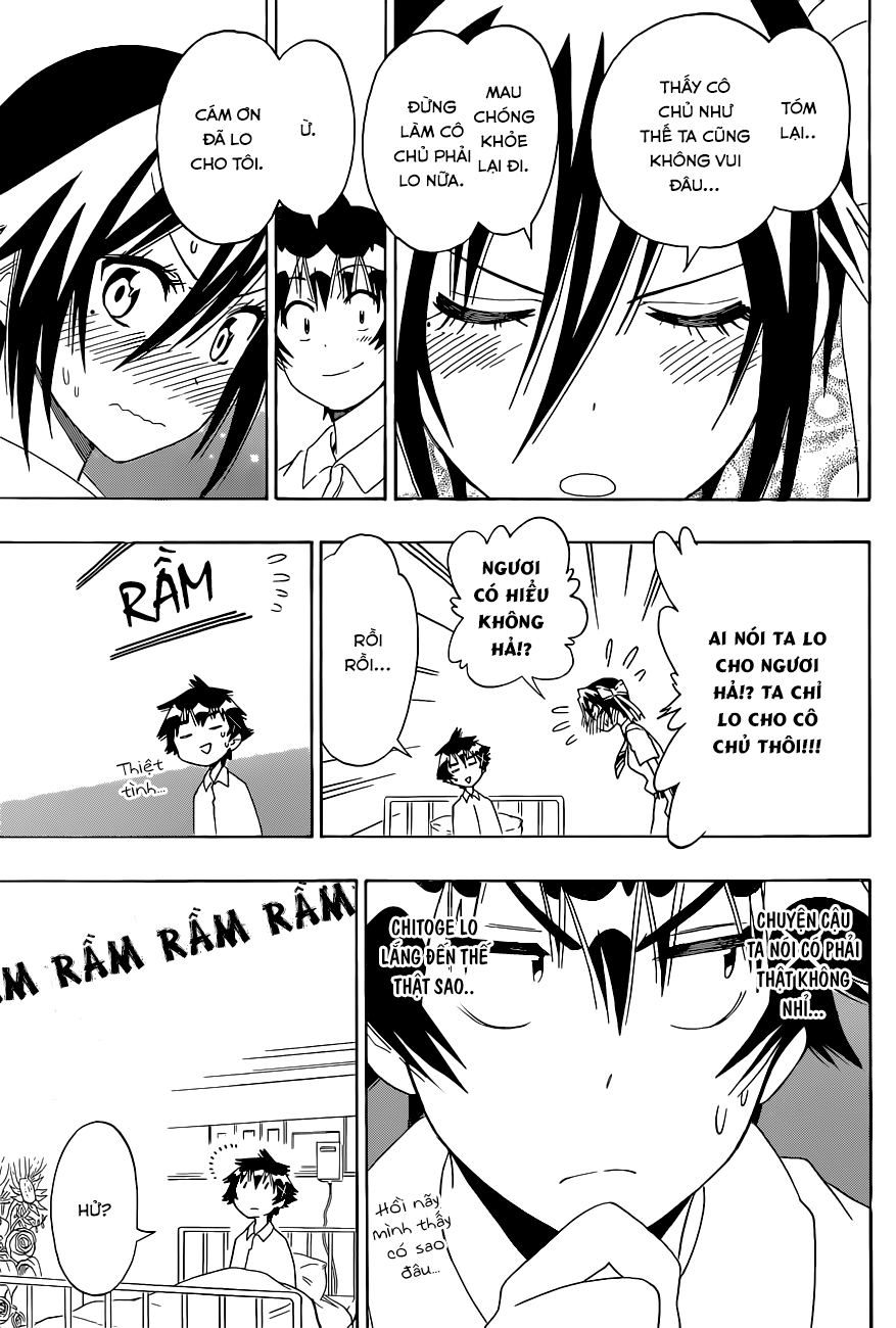 nisekoi - tình yêu giả tạo chapter 117 14