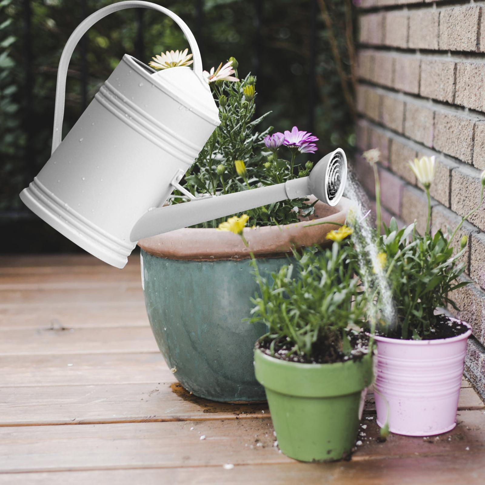 Watering Can Flower Watering Sprinkler Head for Indoor Garden