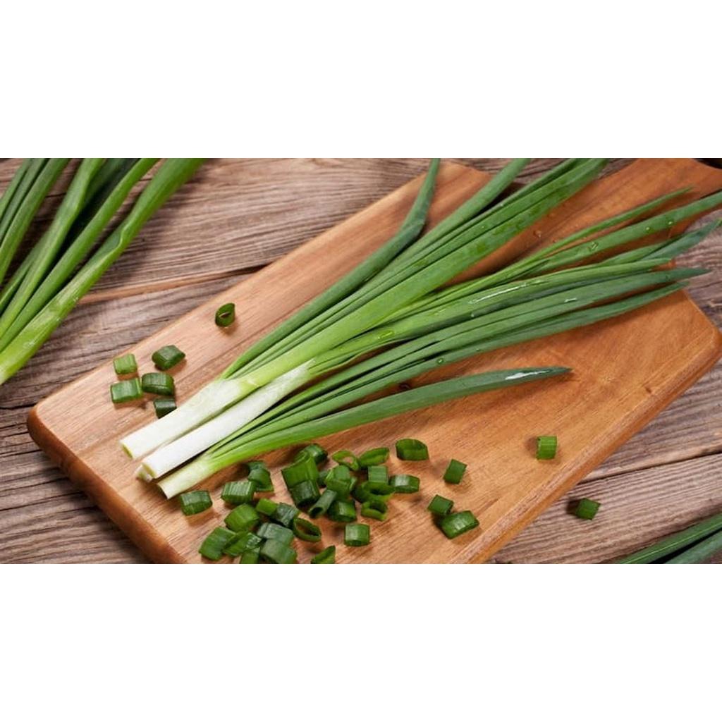 Hạt giống Hành Hương Cao Sản - Hành lá