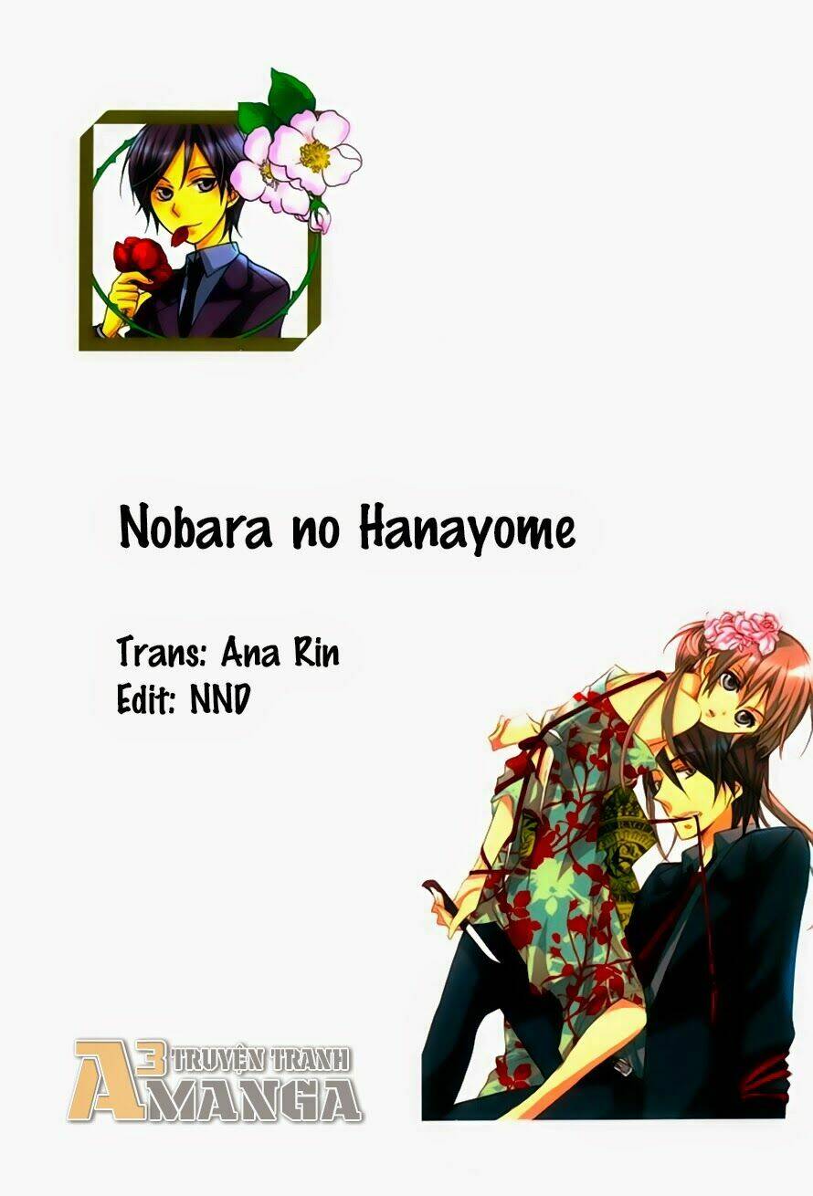 hoa hồng hoang dã chapter 1 3