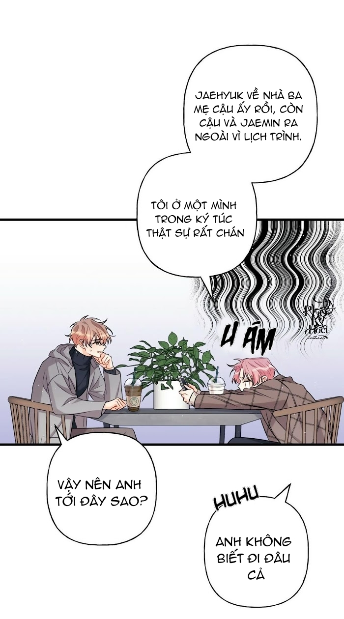 dưới ánh hào quang chapter 4 9