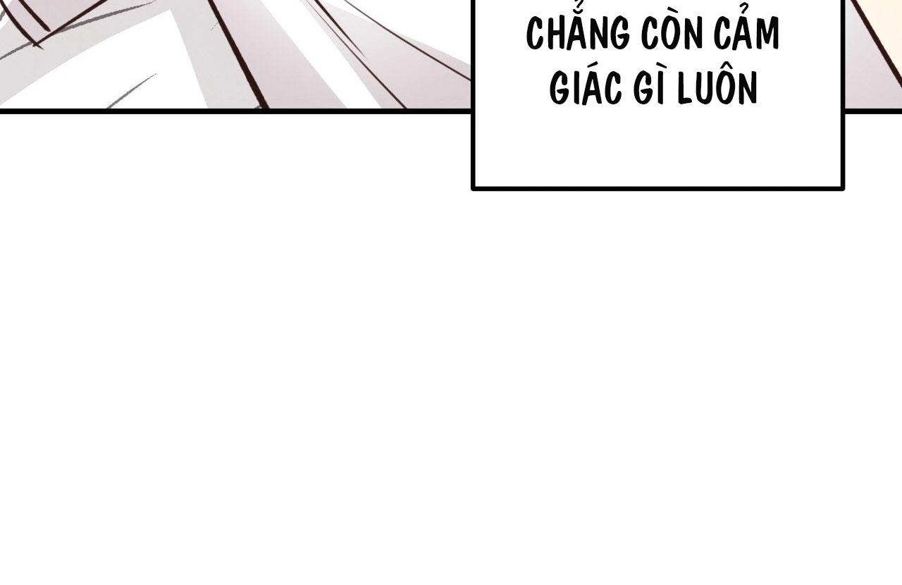 mật gấu chapter 29 85