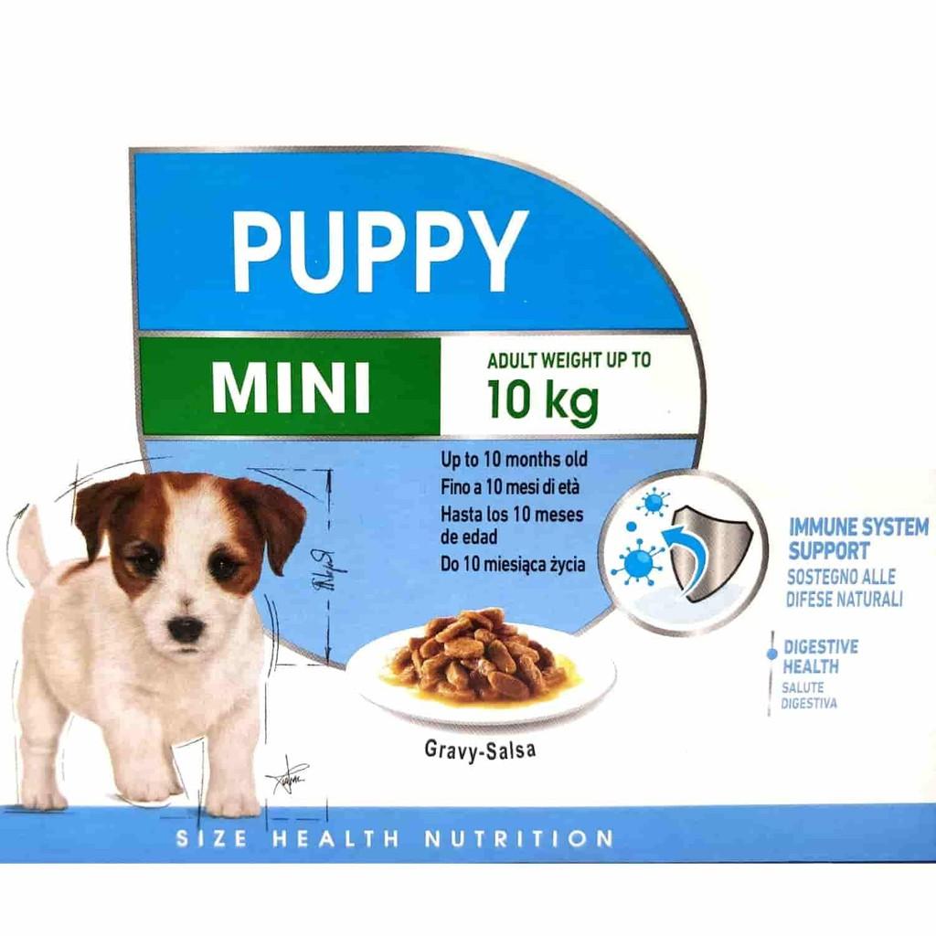 Pate Royal Canin Mini Puppy Cho Chó Con Giống Nhỏ