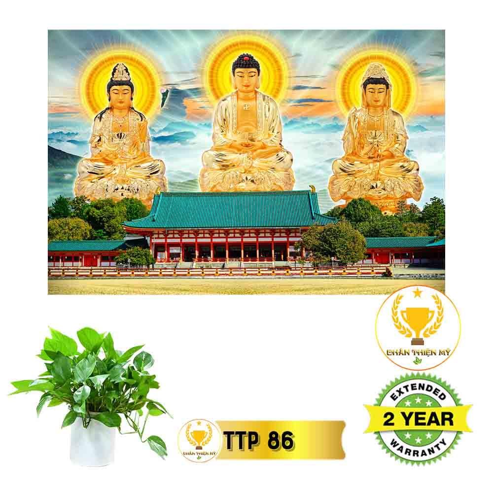 Tranh điện Tam Thế Phật_TTP9