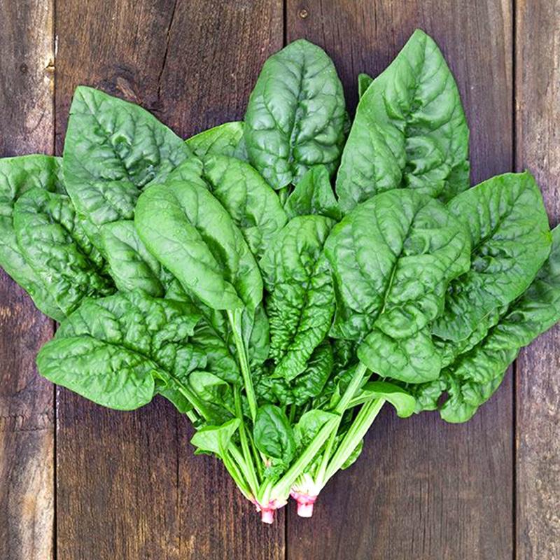 Combo 5 gói hạt giống rau cải dể trồng các loại -gói 10gram- tặng 1 phân bón