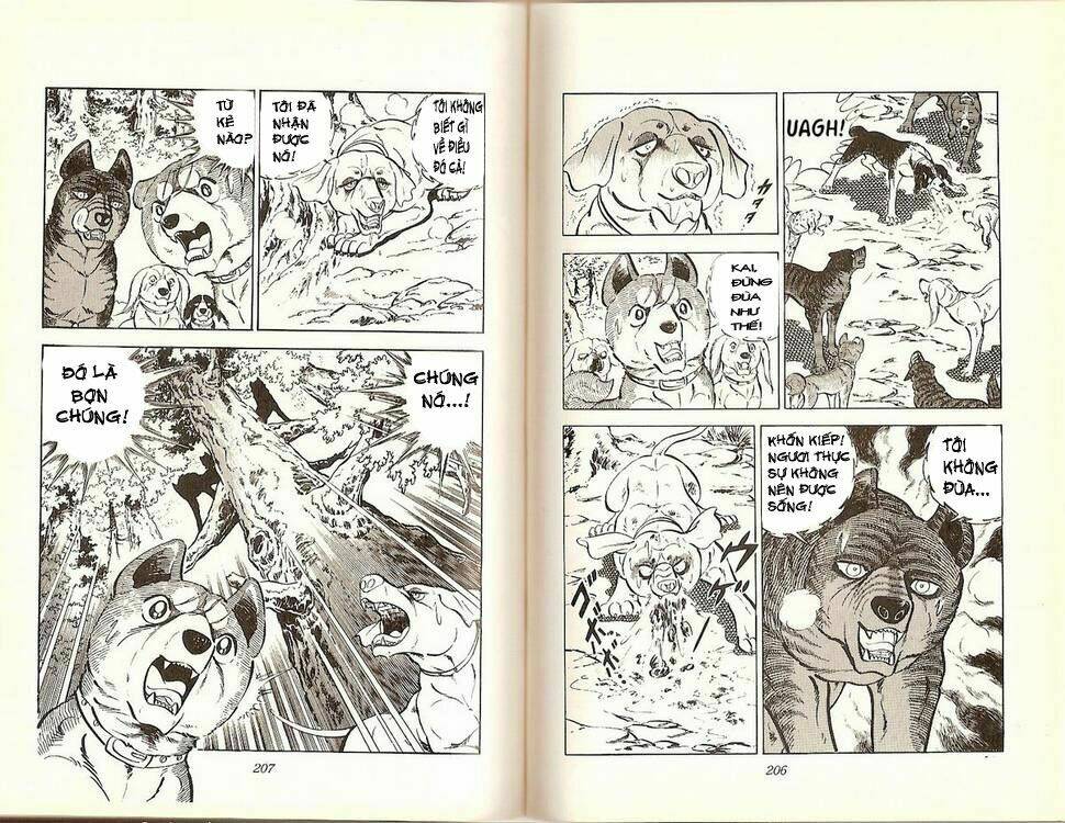 chú chó có nghĩa - ginga nagareboshi gin chapter 17 10