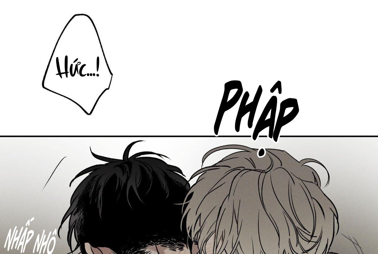 chàng giao pizza và gold palace chapter 47 14