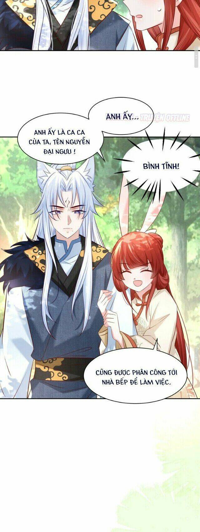 hắc hóa nam chính trực tuyến nuôi thỏ chapter 33 14