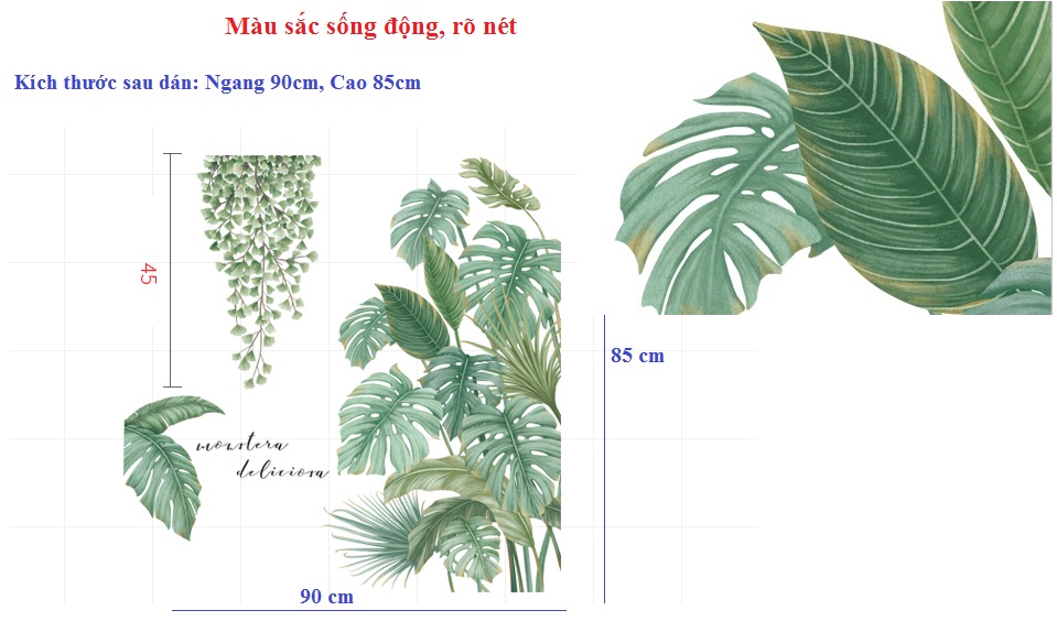 Decal dán tường