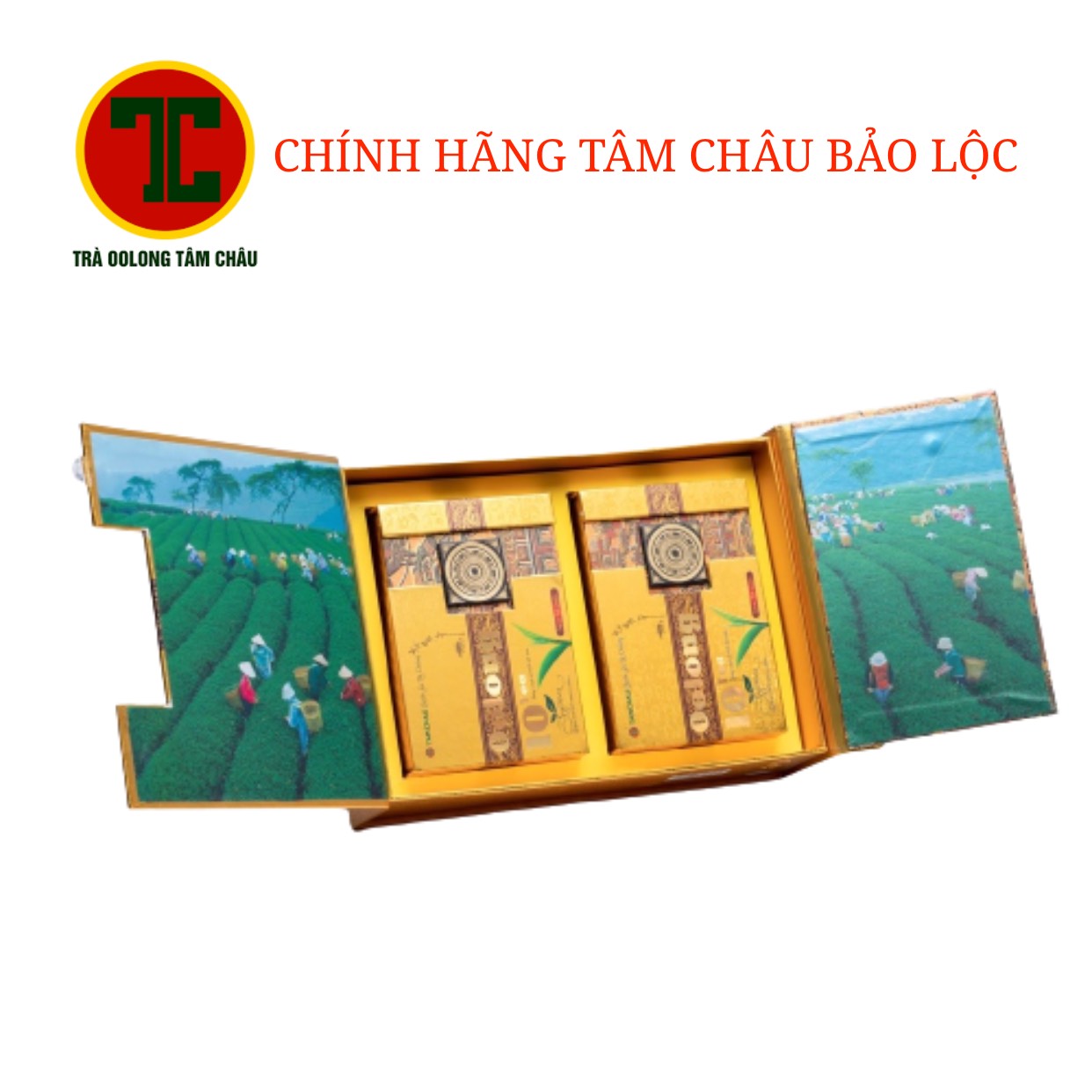 Trà Oolong 10 tea Tâm Châu 320g