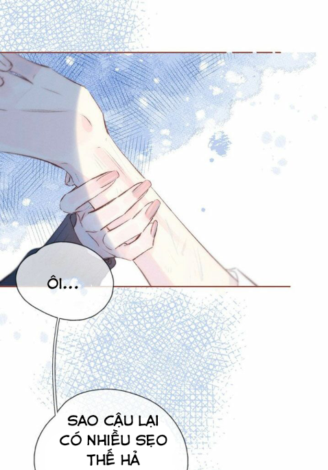 nỗi buồn của hoa cẩm tú cầu chapter 30 21