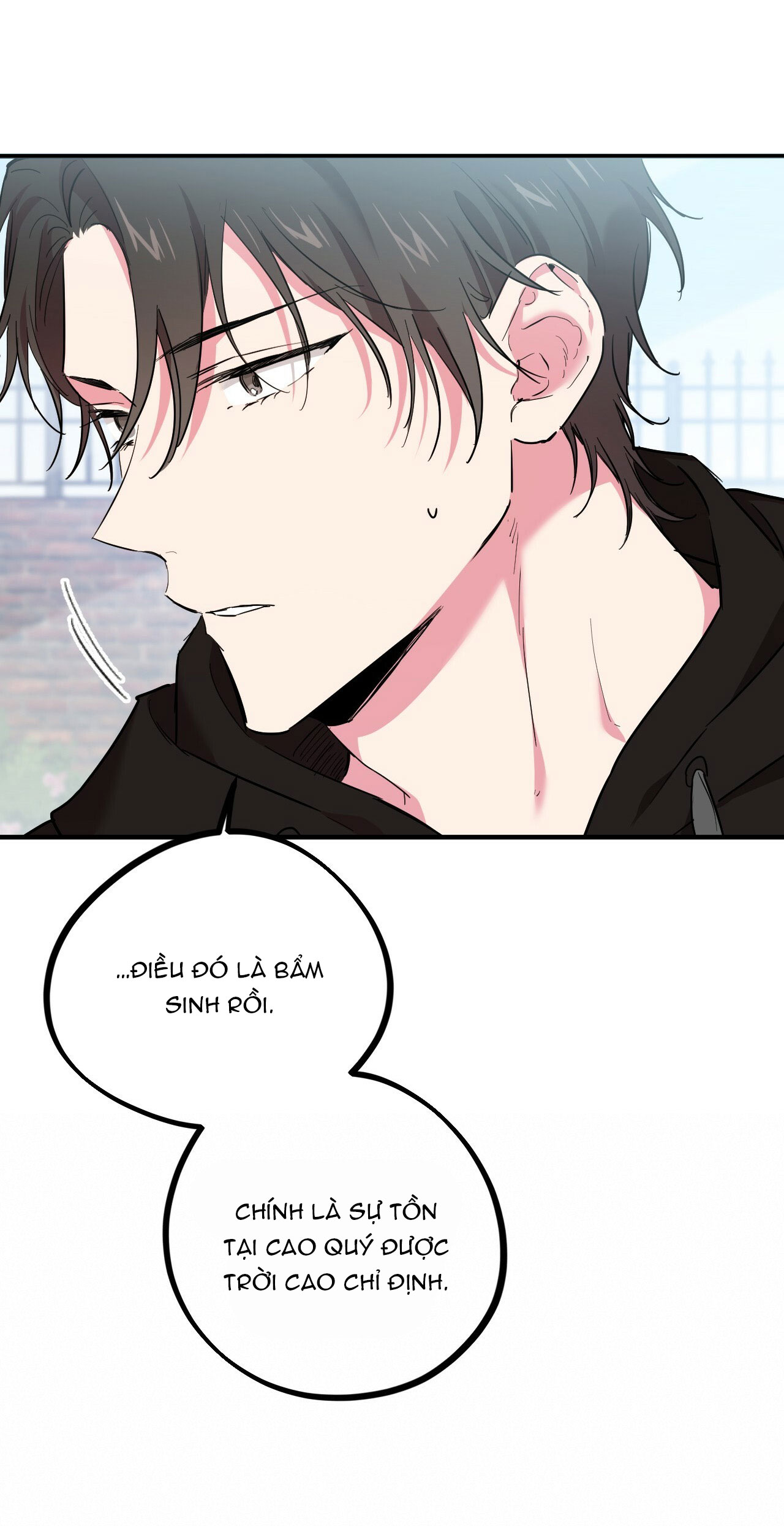 những chú thỏ của hapypy chapter 5 19