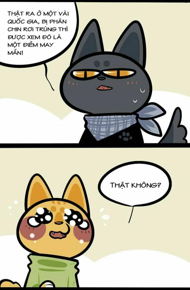 đời không như mình tưởng chapter 18 3