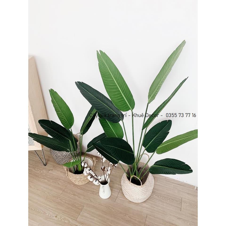 Cây chuối giả 1m6 cao cấp kèm chậu cói