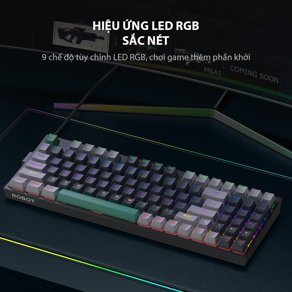 Bàn Phím Cơ Gaming ROBOT Workmate II - Hiệu Ứng Đèn RGB - 94 Phím - HÀNG CHÍNH HÃNG