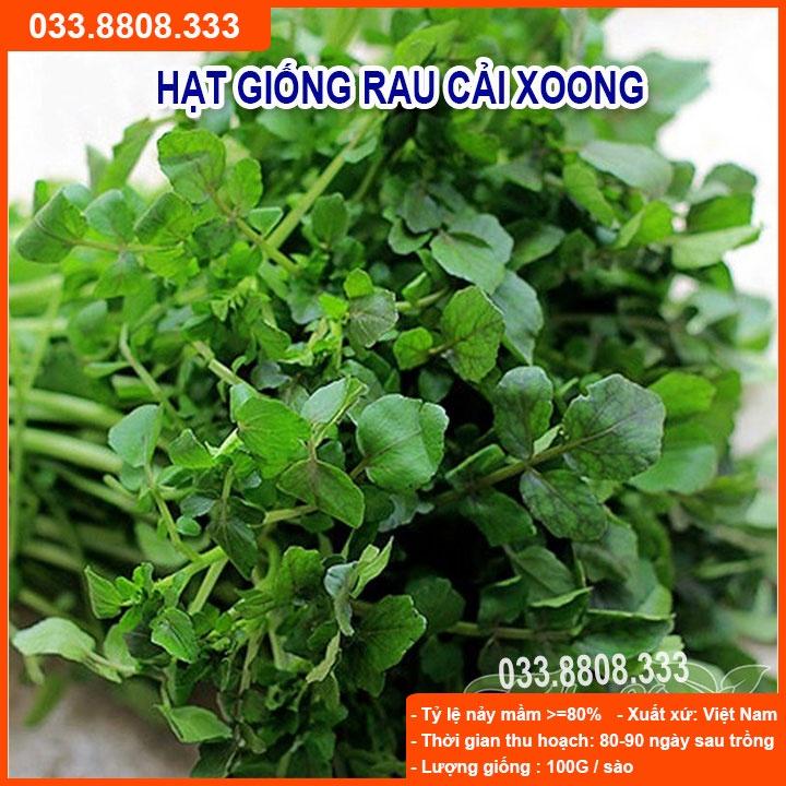 Hạt Giống Rau Cải Xoong Giàu Dinh Dưỡng