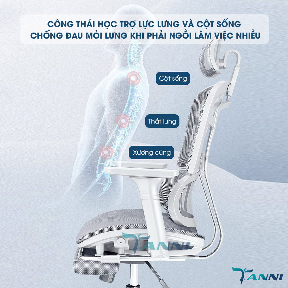 Ghế Xoay Văn Phòng Công Thái Học Cao Cấp Có Ngả Lưng TANNI Premium V3, Ghế Xoay Ngồi Làm Việc Ergonomic Nhập Khẩu