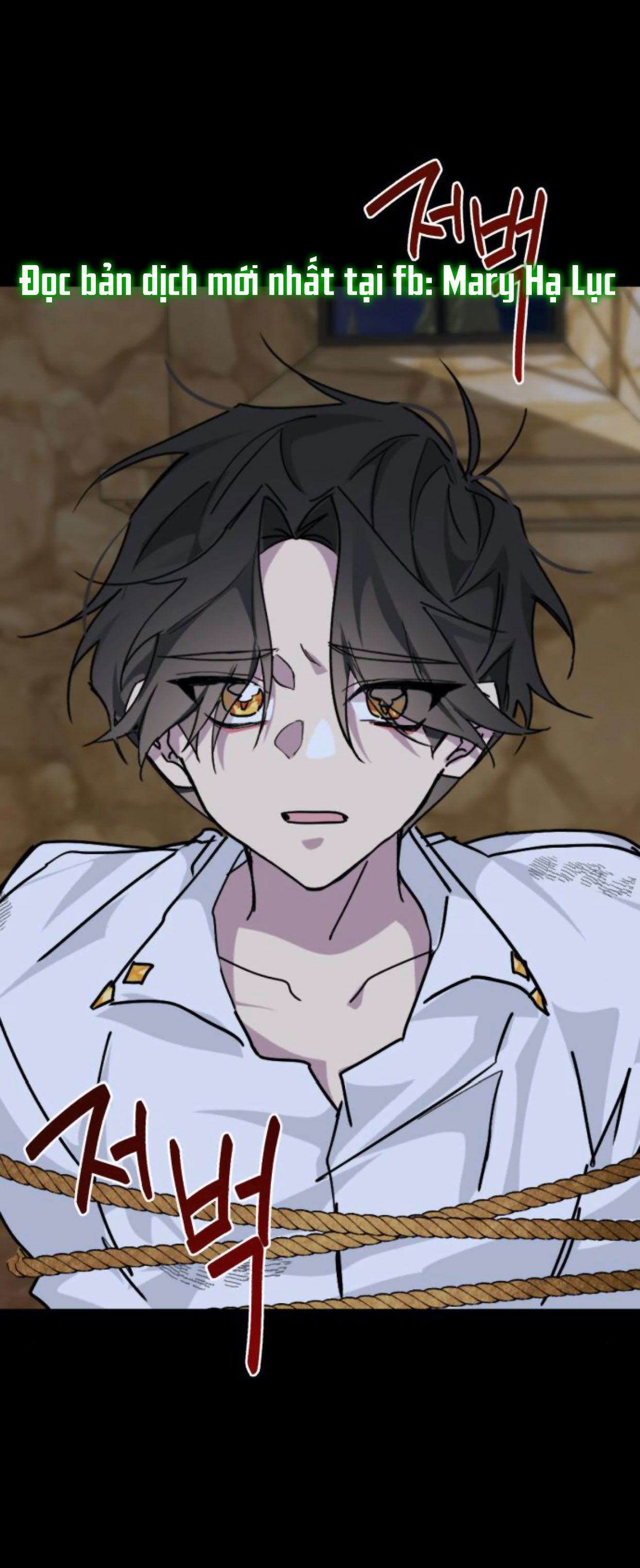 đã có lúc ta muốn nàng chết đi chapter 15.3 15