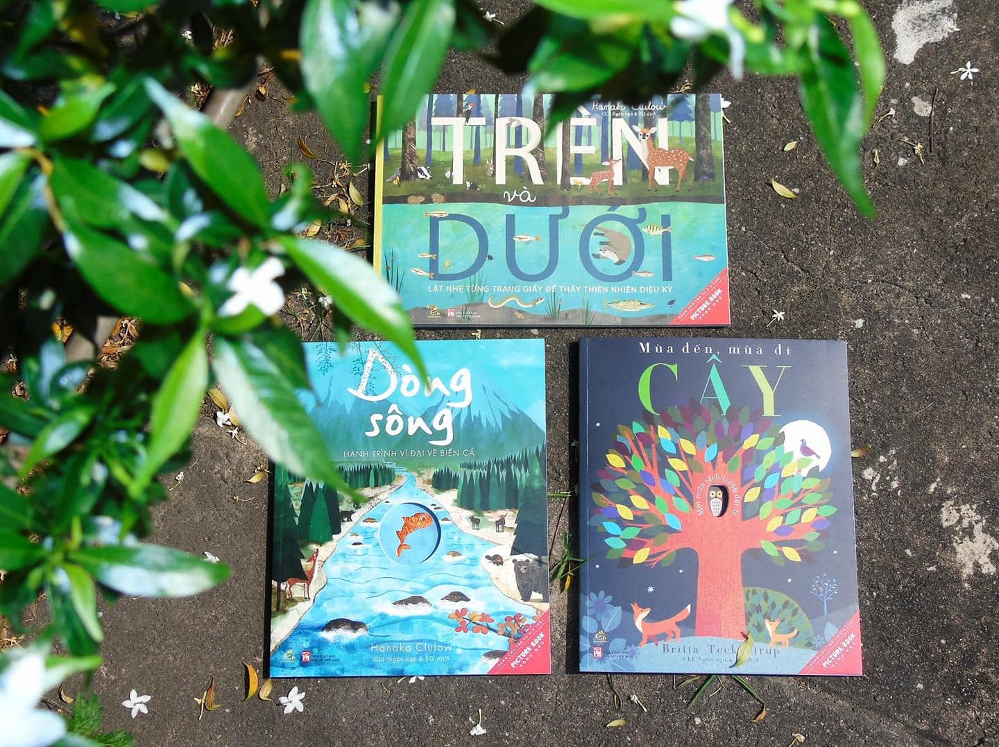 Bộ Sách THIÊN NHIÊN DIỆU KỲ - Bộ Sách Song Ngữ Dành Cho Bé Từ 3-8 Tuổi
