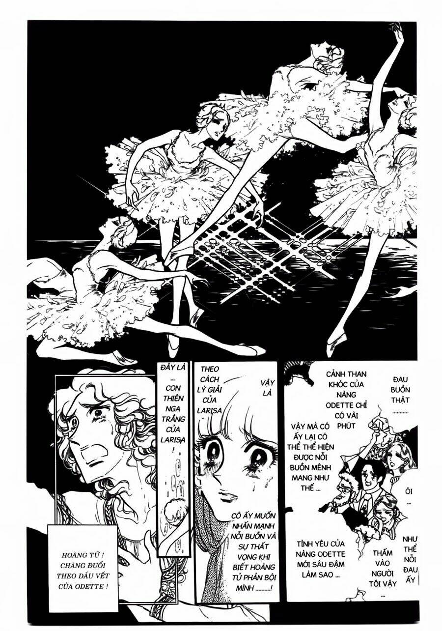 swan - vũ khúc thiên nga chapter 43 12